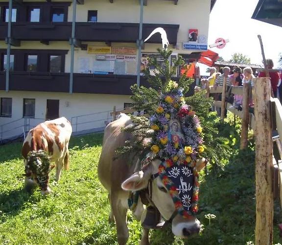 Moida-ferienwohnung Διαμέρισμα Fügen