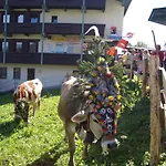Moida-ferienwohnung Apartment Fuegen