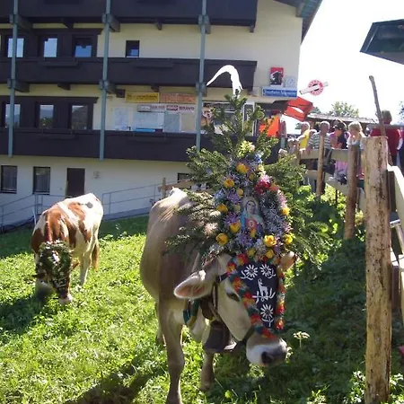 Moida-ferienwohnung Apartment Fuegen