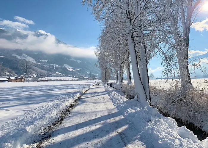 مويدا-فيرينفونونغ * فغن